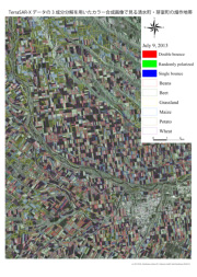 合成開口レーダによる作物生育観測