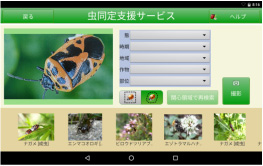 画像認識による病害虫同定支援